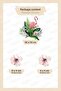 Flamingo and Flowers Wall Sticker Set, Flamingo Sticker Set Inside Tropical Plants - 4