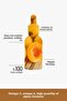 100% Natural Fixed Oil - Apricot Kernel, Apricot Kernel Oil, Prunus Armeniaca 30 - 3