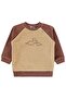Dinosaur Printed 6-18 Months Sweatshirt - Brown