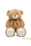 Love-Filled Gift Set – 120 cm Giant Plush Bear, 25 cm Plush Teddy Bear and Plush Bouquet - 2