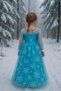 Elsa Dress - Frozen Costume Crown Scepter Gift Frozen Long Sleeve Dress up Costume - 6