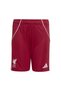 Jv6441-C Lfc Liverpool Fc 25-26 İ &amp; Ccedil; Field &amp; Children's Shorts and Capri Burgundy