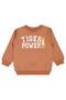 Safari Printed Set of 3 Sweatshirts for Ages 2-5 - Standard 2-3 Years - 3