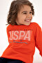 Boy's Pomegranate Flower Tracksuit Set 50318567-Vr039 - 3