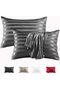 2-Pack Silk Satin Pillow Cases Standard 20x30 Inch, Envelope Closure for Skin & Hair