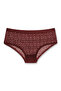 3-Piece Leopard Motif Lace Hipster Women's Panties with Elastic Waistband - 3