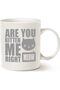 Funny Cat Coffee Mug – “Are You Kitten Me Right Meow” Cute Cat Lover Gift 11 Oz White Cup
