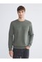 Crew Neck Printed Men's Thick Sweatshirt