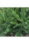 Brad artificial Alpine Sersimo, verde, complet 3D, 210 cm - 8