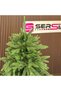 Brad artificial Alpine Sersimo, verde, complet 3D, 210 cm - 3
