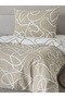 Mix Cappucino Single Ranforce Cotton Fitted Sheet Duvet Cover Set - 2