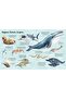 Big Book of Big Sea Creatures - 6