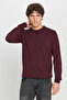 Men's Burgundy Cotton Standard Fit Regular Cut Crew Neck Knitwear Sweater - 3