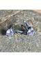 Winged Heart Design Nail Model 316L Stainless Tarnish-Free Steel Earrings Pair