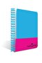 Pp Cover Neon 120 Sheets A4 Ruled Notebook Set of 4 - 3