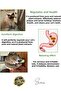 Natural Avocado Catnip Ball Toy Adhesive Licking Calming Catnip Edible Grass - 3
