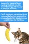 Plush Banana Cat Toy Yellow Plush Cat Toys with Catnip - 7