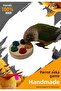Parrot Wooden Educational Interactive Toy for Intelligence Development Natural Colorful Oval