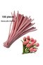 100 Pieces Pastel Pink Chenille, Feathered Wire Suitable for Flower Making, 30 cm 6mm
