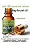 10ml Pure Laurel Leaf Oil Natural and Unadulterated - 2