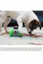 Tumbler Type Mechanical and Interactive Reward Robot for Cats and Dogs - 3
