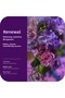 Renew Mood + Skin Body Serum 502ml - 6