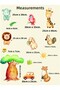 Animal Themed Wall Decoration Sticker Set - 2