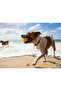 Fetch Water Bouncing Ball Dog Toy 105C06 - 3