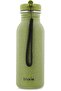 41-201 Bottle 500ml - Mr. Dino - 2