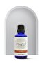 Argan Oil (Argania Spinosa) 100% Pure and Natural Herbal Fixed Oil 50 ml - 2