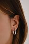 Steel Ellipse U Earrings Non-Tarnish Plate 4cm Suitable for Daily Wear - 4