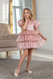 Dream Model Crowned Tailed Powder Children's Evening Dress Kids Aby230 - 4