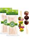 Fruit Picks (Long Paddle, 200 Count)