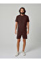 Classic Men's Shorts - Brown - 3