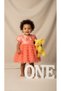 Bow Tutu Baby Dress/ Baby Girl Special Occasion & Birthday Dress