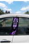 Car Door Pole Covering Foil Sticker Lightning Lion 25X50 cm