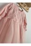 Girls Baby Kids Lace Laced Birthday Party Wedding Special Occasion Tulle Lined Princess Ball Gowns Dress - 4