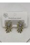 Steel Zircon Stone Earrings - 4