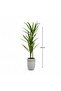 Artificial Dracaena Plant in White Marble Pot 140cm - 3