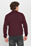 Men's Burgundy Cotton Standard Fit Regular Cut Half Turtleneck Knitwear Sweater - 5