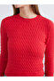 Crew Neck Self Patterned Women's Knitwear Sweater - 6