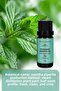 10 مل زيت النعناع العطري النقي 100% - 3
