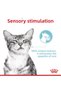 Sensory Feel in Gravy Adult Cat Canned 85 Gr - 5