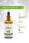 Nettle Seed Carrier Oil 50 Ml.