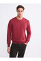 سويت شيرت رجالي مطبوع عليه I Zero Roba Collar من Freezen Store