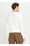 Crew Neck Standard Ecru Men's Sweater Ace049261266_Ekr - 5
