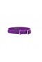 - FLEX CAT COLLAR MIX - ( 30 CM ) For Cat & Small Dog - 7