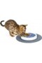 Cat It Design Senses Scratch Pad Refill For Cat & Small Dog - 8