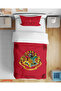 Harry Potter Themed 3D Digital Printed Single Person Youth Duvet Cover Set Without Sheets
