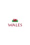 WALES WITH FLAG FOR KIDS - 3